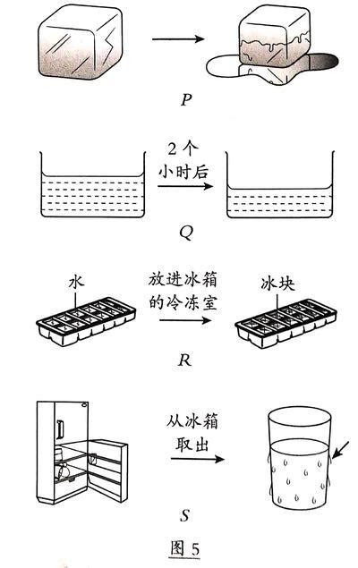 水形態